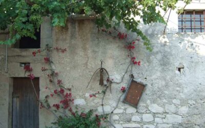 Cenas Tipicas en Sicilia: A cenar con los sicilianos