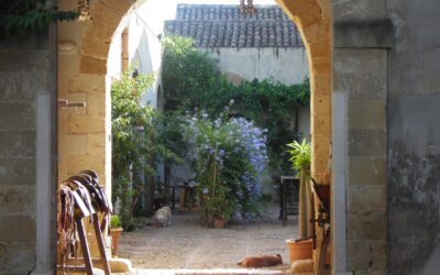 Trápani: Viaje al Oeste Siciliano