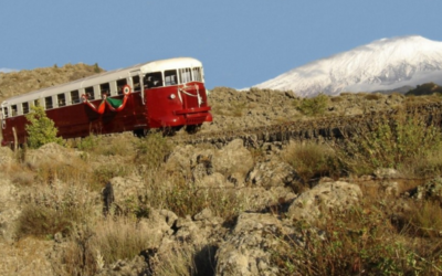 Catas de vinos y enoturismo en el Etna